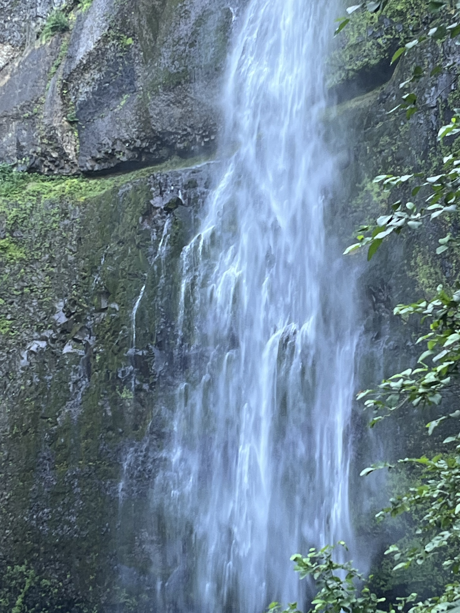 Eternal Spring Always Spring – Anthony’s Crazy Love and Life Lessons in ...